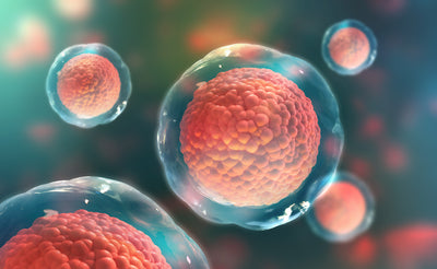 Pravovremeno razmislite o čuvanju matičnih ćelija pupčane vrpce
